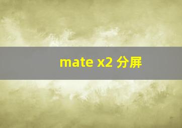 mate x2 分屏